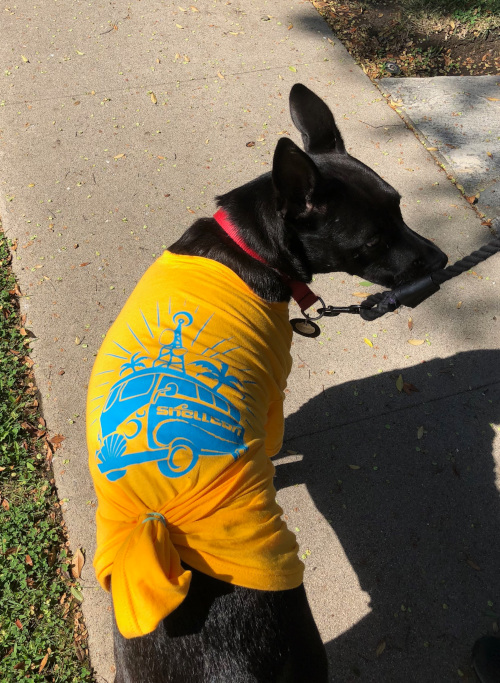ShellCon 2018 Dog wearing volunteer shirt